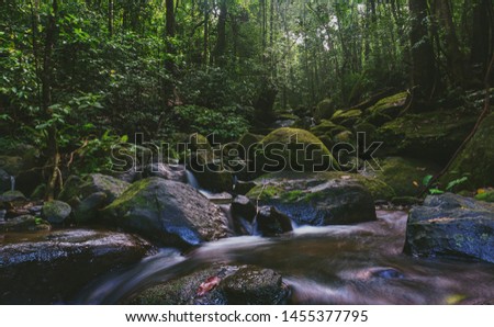 Landscape photo, Waterfall in deep forest during rainy season