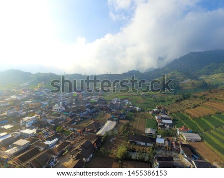 Dieng Village above the cloud. View of ripen rice terraces in Dieng. Beautiful panoramic landscape above clouds.