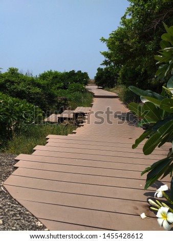 Wooden walkways are used to walk to the beach