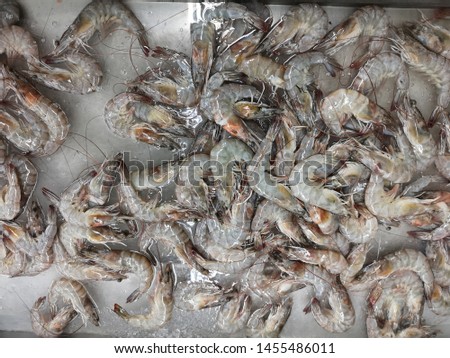 Fresh shrimps in seafood market