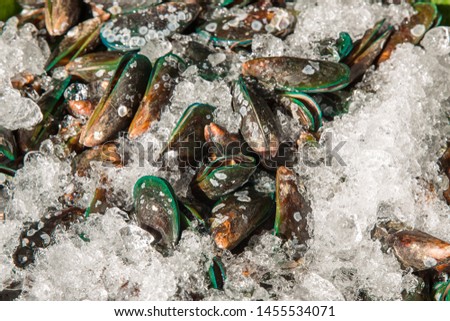 Raw Mussel shell in market,Fresh seafood in Thailand.  pile green mussel for sale on the market - Asian green mussel seafood shell in the fish market
