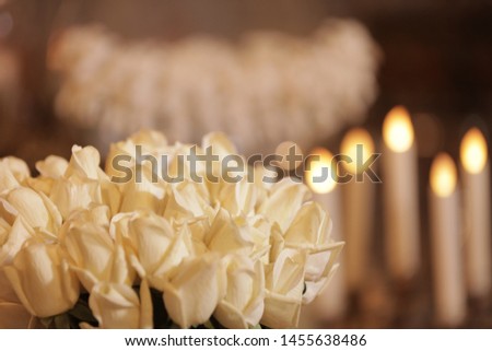 rose flower background
wedding pic theme