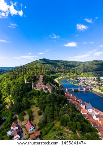 Aerial view, Castle Hirschhorn at river Neckar, Odenwald, Hesse, Germany,