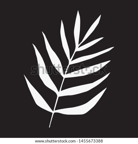 Black and white silhouettes of tropical leaf, tree. Vector botanical illustrations, floral elements, monstera, palm leaves. Hand drawn plant for decoration.