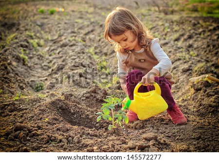 Little girl watering plants in a garden Royalty-Free Stock Photo #145572277