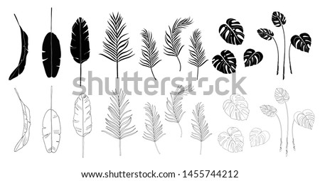 Set of vector banana, monstera, palm leaves isolated on white background. Exotic tropical plants. Used for card,print, wallpaper,plant shop, travel agency. Contour and silhouette. Black and white
