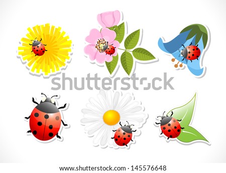 flowers with ladybug on white background, bitmap copy