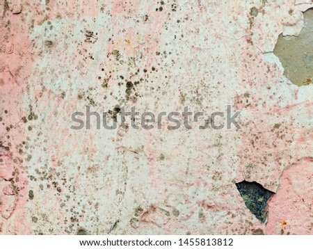 cement wall bricks south america background