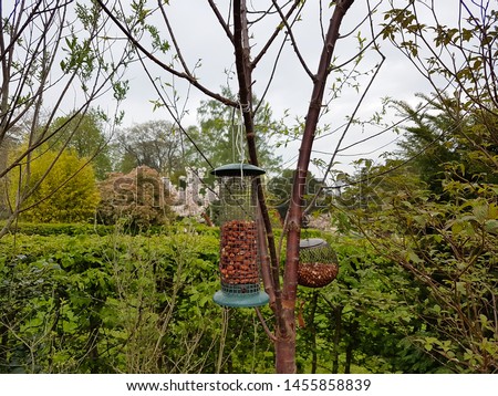 Feed the birds,  a box of nuts hangs from a tree in an English garden.