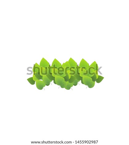Cartoon nature element leafs on white background illustration for children