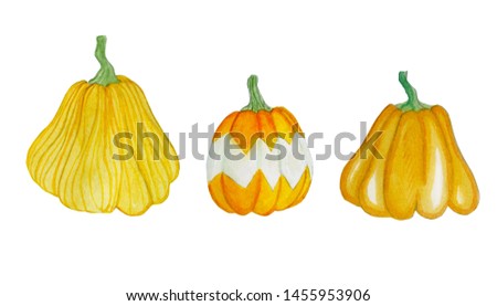 watercolor pumpkins, Halloween illustration set.Thanksgiving autumn design elements, fall, holiday clip art isolated on white background