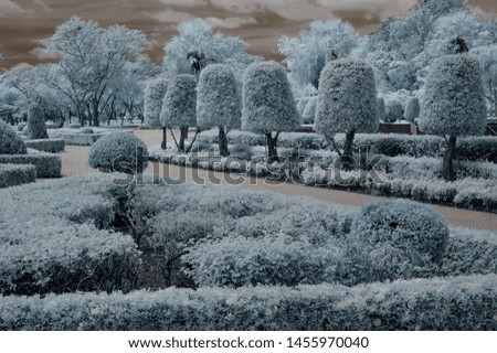 garden image taken with infrared camera.