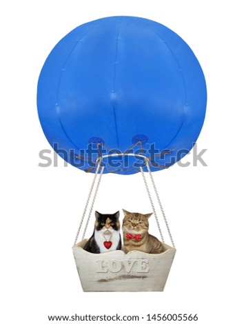 The couple of cats in love are flying in a blue hot air balloon. White background. Isolated.