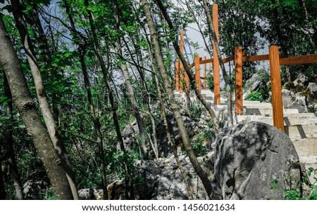 Stairs path in nature/In the Woods. Royalty-Free Stock Photo #1456021634