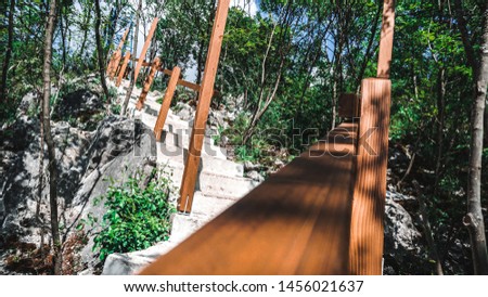 Stairs path in nature/In the Woods. Royalty-Free Stock Photo #1456021637