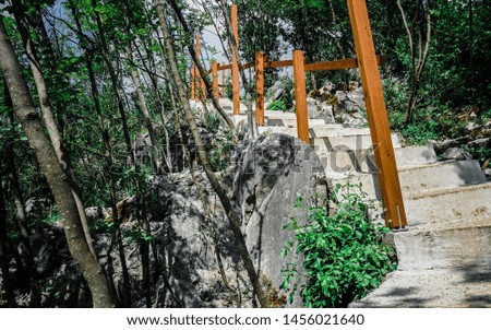 Stairs path in nature/In the Woods. Royalty-Free Stock Photo #1456021640