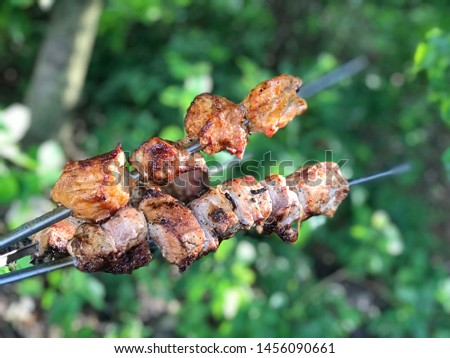 Fresh, cooked on the grill fire meat beef shish kebab with spices, with barbecue sauce and ketchup, on a forest background