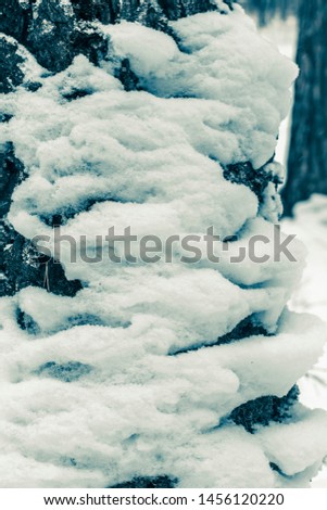 
Toned Snovy Winter Scene Background