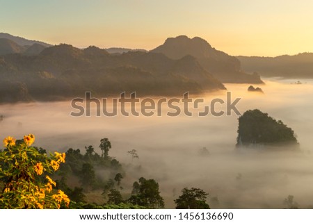 Mountain and flower views of Phu Langka National Park  ,Thailand