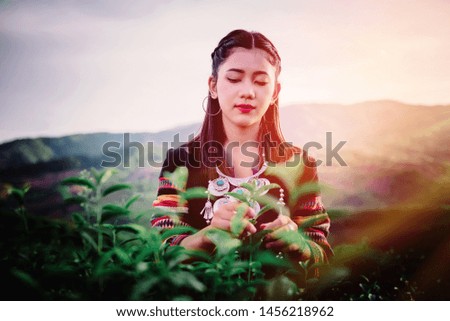 winter fall beauty native teen girl and friend women student travel in tea farm at the countryside "chiang rai" province. sunset view. she smile happy a small trip in North Thailand, Asian. 