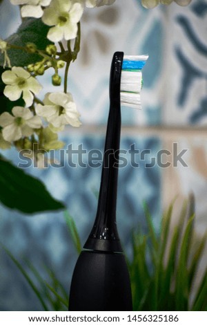 long electric sonic toothbrach for single man in the bathroom with decorative plants