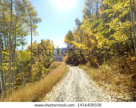 Hiking in Beaver Creek Resort, Avon, Colorado in the fall foliage season