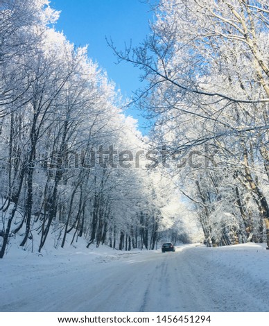 Snow road through the forest with blue sky