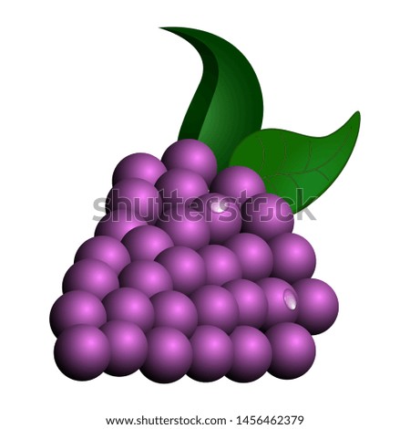 Isolated grapes image on a white background - VEctor