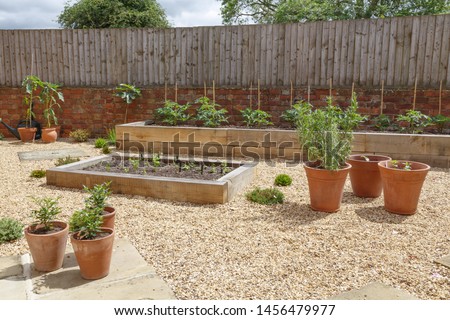 Raised beds in a kitchen vegetable garden with hard landscaping, gravel, terracotta plant pots and raised beds Royalty-Free Stock Photo #1456479977