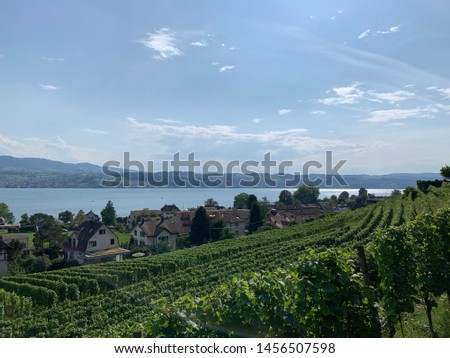 Picture of Stäfa (Staefa), a city in Zürich, Switzerland. You can see some green fields, the village, houses and the lake of Zürich. The weather is good, the sky blue and cloudy.