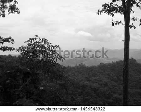 Rolling hills, trees, and jungle - near Chiang Mai, Thailand (black and white)