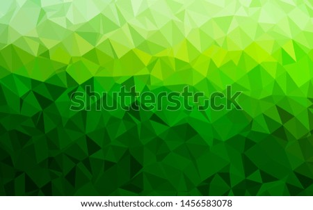 Light Green vector low poly texture. Colorful illustration in abstract style with gradient. Completely new template for your business design.