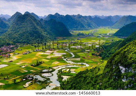 Rice field in valley in Bac Son, Lang Son, Vietnam  Royalty-Free Stock Photo #145660013