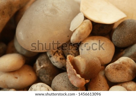 Pebbles and Shells unequally spaced
