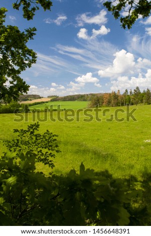 Large green field with grass and blue sky