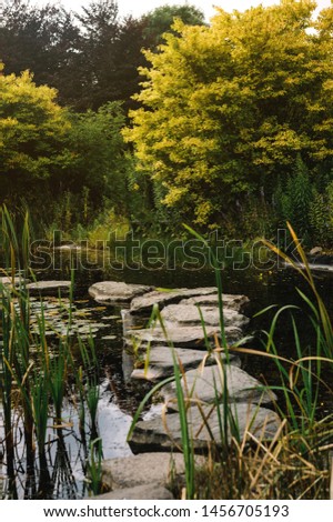 Water pond in green spring forest with stone patch. creek in forest. Good for wallpaper or background image.