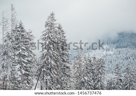 Photo of mountains with trees and forest in winter season. Tatra mountains, Poland.