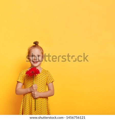 Vertical image of adorable red haired girl with bun, has gentle smile, expresses happiness, holds red gerbera flower, going to congratulate friend, wears stylish yellow dress, likes summer time