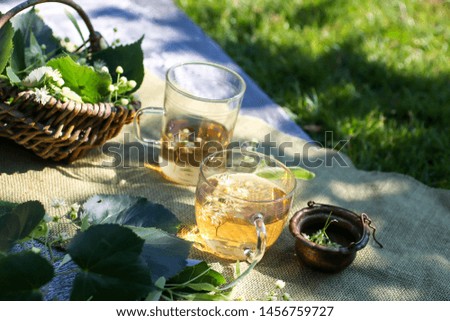 Flowers of linden and linden tea in transparent tea pot and cup on green plain background