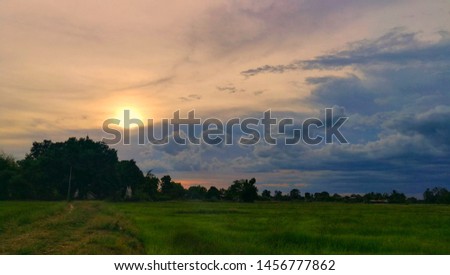 Colorful sky And green fields in the evening