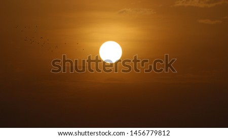 sunset time and the white sun Royalty-Free Stock Photo #1456779812