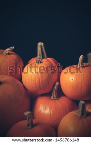 Heap of many orange pumpkins closeup, Halloween concept, tinted image