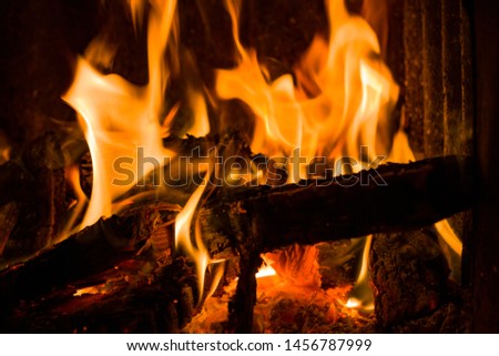 Flame campfire on a dark background. Fire and burning tree