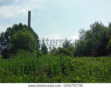 Chimney on an abandoned industrial site.