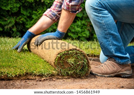 Man laying grass turf rolls for new garden lawn Royalty-Free Stock Photo #1456861949