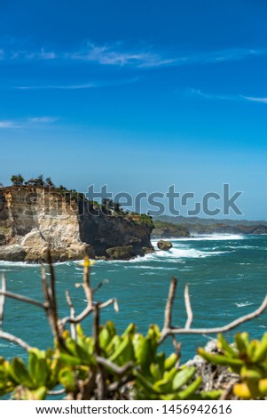 Beautiful Baron beach, Yogyakarta, Indonesia. High resolution image view portrait format with blue sky background and green leaf branch frame.