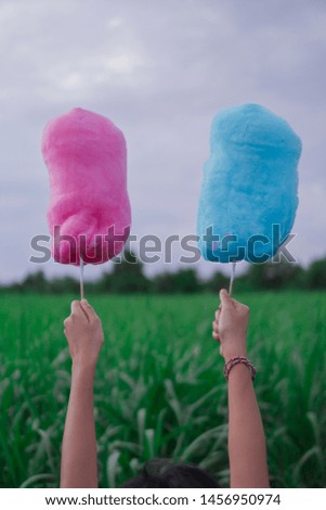 Women carrying cotton candy Blue and pink Natural backdrop.
