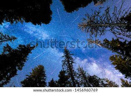 A view of the stars of the blue Milky Way with pine trees forest silhouette in the foreground. Night sky nature summer landscape. Perseid Meteor Shower observation. Colorful shooting stars.