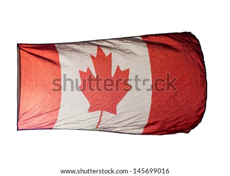 Canadian Flag in wind on white background