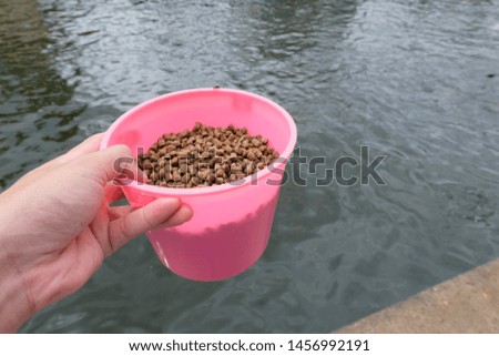 Fish food in a pink tank Background is a canal
